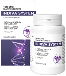 InDiva System